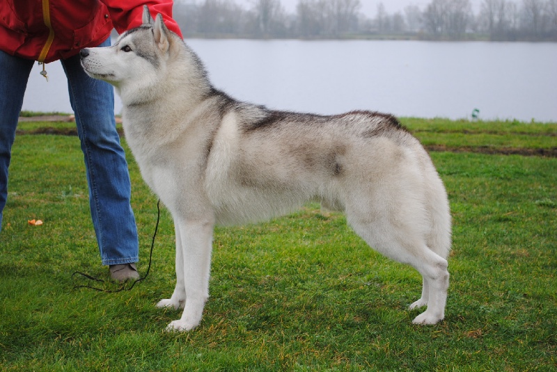 Giorgio armani of Artic Ocean